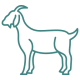 goat (1)